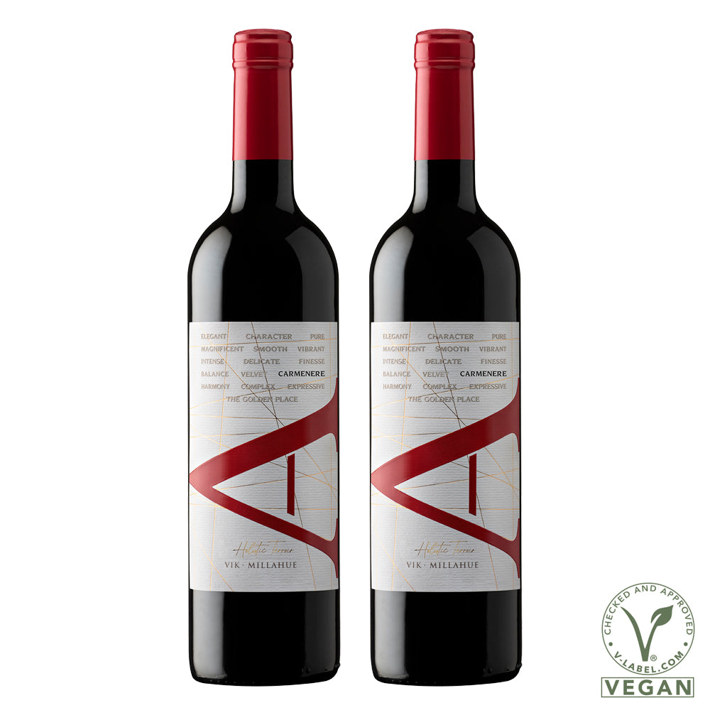 Pack: 2 Vinos VIK "A" Carmenere 2022 - 750 ml