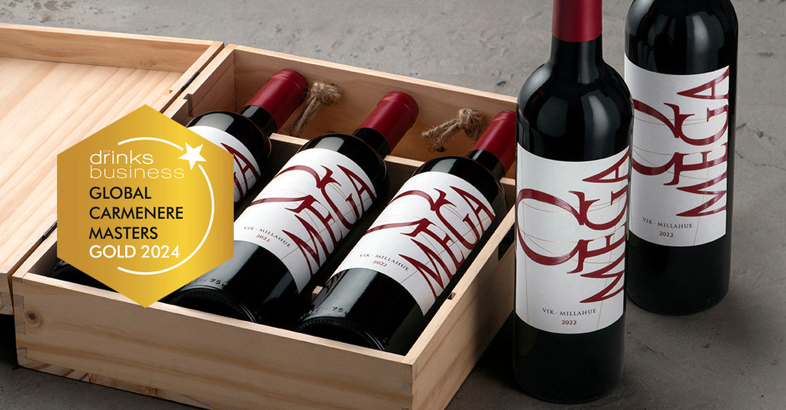 Vino Omega 2022 - Carmenere 750 ml