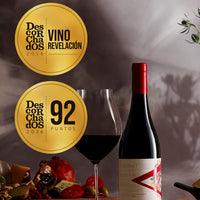 VIK "A" Cabernet Nouveau 2024 - 750 ML