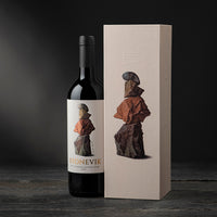 Pack: Vino VIK 2020 - 750ml + STONEVIK 2024 - 750ml + 2 GIFT BOX + Descorchador Eléctrico + Brochure STONEVIK de REGALO