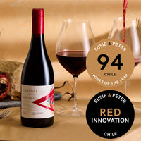 VIK "A" Cabernet Nouveau 2024 - 750 ML