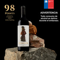 Pack: Vino STONEVIK 2023 (EDICIÓN LIMITADA) + Descorchador + GIFT BOX STONE + Brochure STONEVIK de REGALO