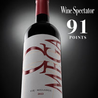 Vino Omega 2022 - Carmenere 750 ml