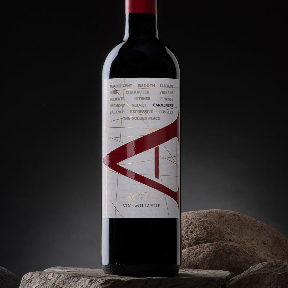 VIK "A" Carmenere 2022 - 750 ml