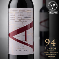 VIK "A" Carmenere 2023 - 750 ml