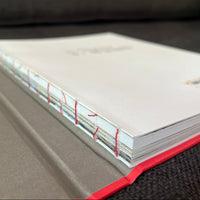 Libro "El huerto de VIK, imaginar y habitar la tierra"