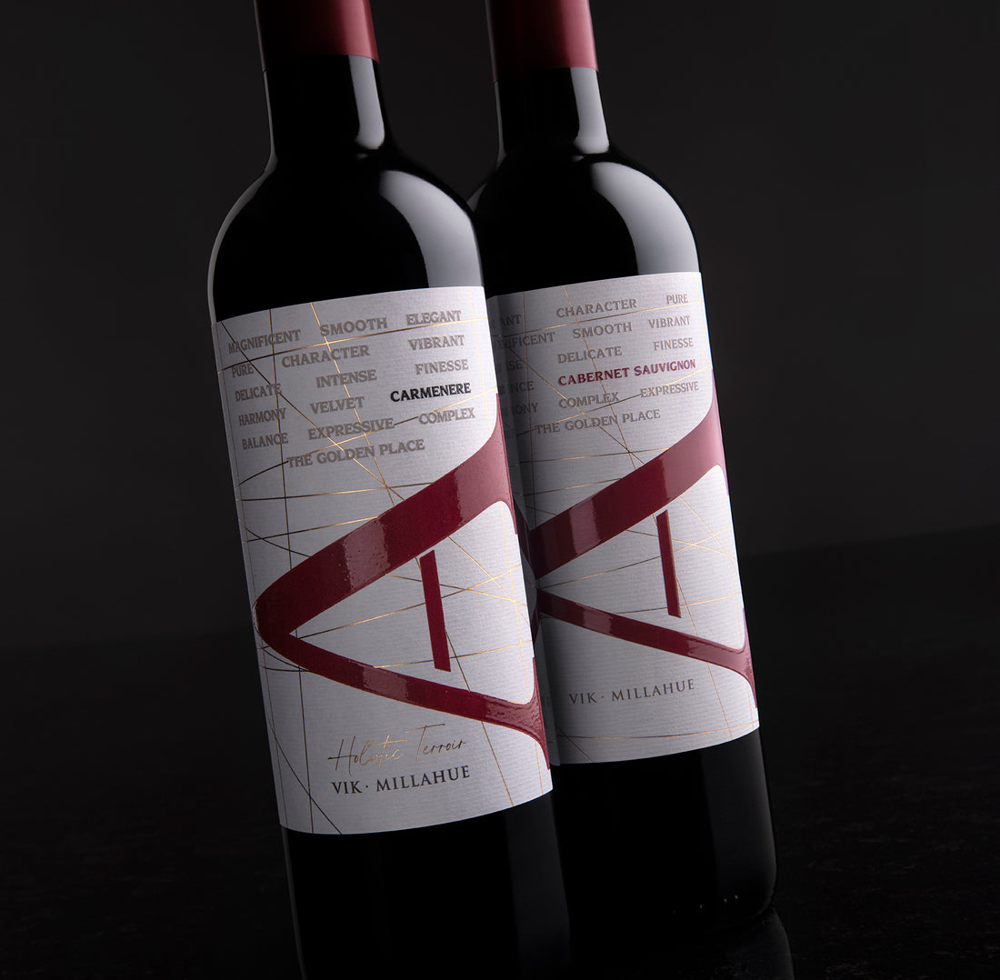Pack: 2 Vinos VIK "A" Cabernet Sauvignon 2022 - 750 ml