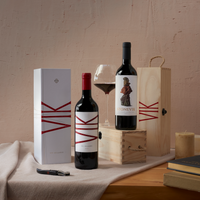 Pack: Vino VIK 2020 - 750ml + STONEVIK 2024 - 750ml + 2 GIFT BOX + Descorchador Eléctrico + Brochure STONEVIK de REGALO