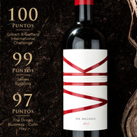 Pack: 6 Vinos VIK Vertical (Año 2014 + 2015 + 2017 + 2018 + 2019 + 2022) - 750 ml + Aireador y Decantador + 2 Wood Box de REGALO