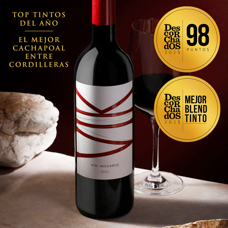 Pack: Vino VIK 2021 - 750 ml + Descorchador y GiftBox de REGALO