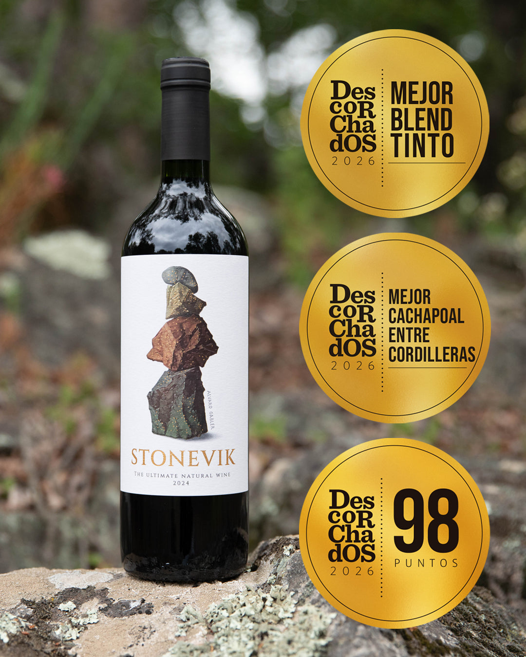 STONEVIK 2024 + GIFT BOX de Regalo