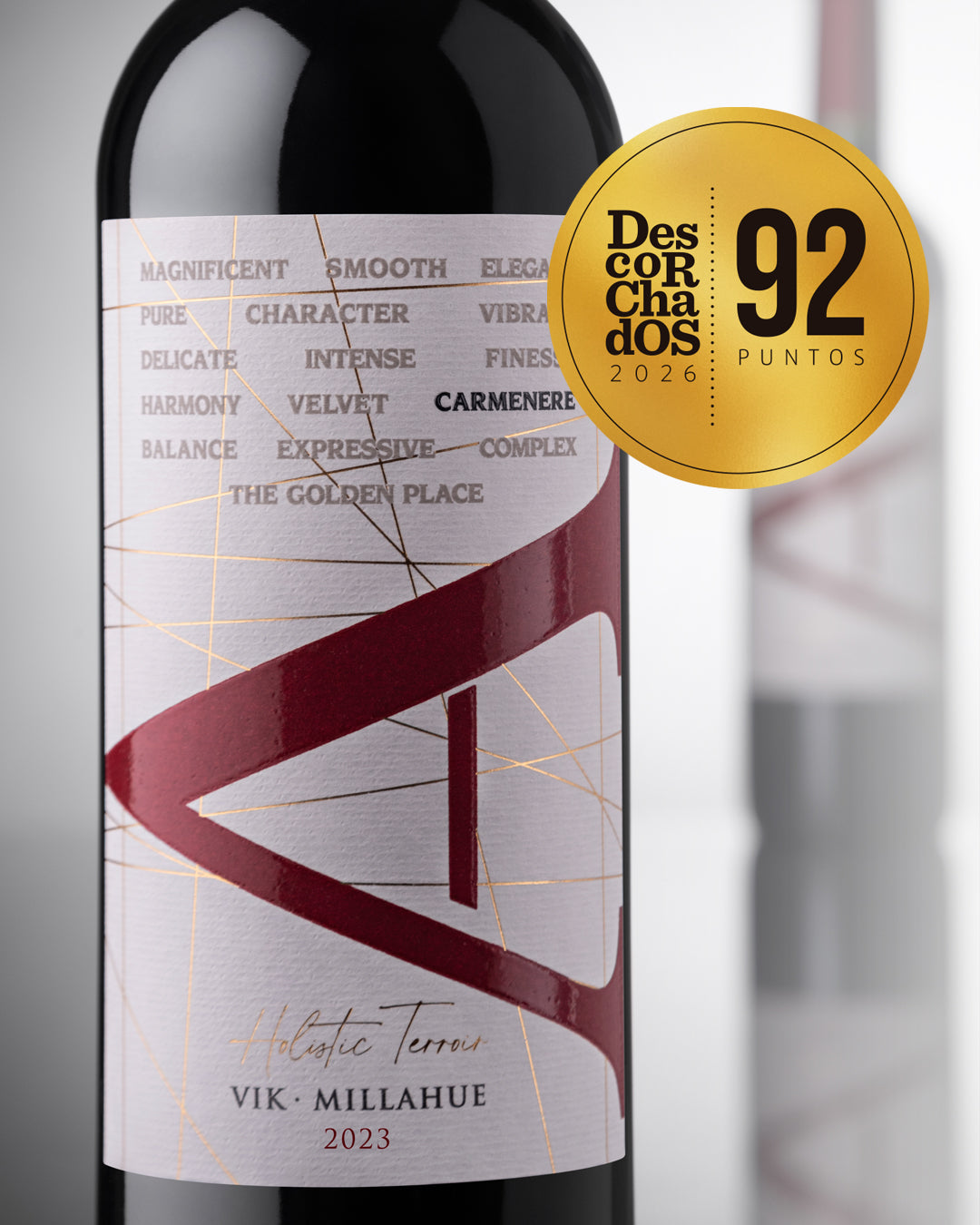 VIK "A" Carmenere 2023 - 750 ml