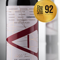 VIK "A" Carmenere 2023 - 750 ml