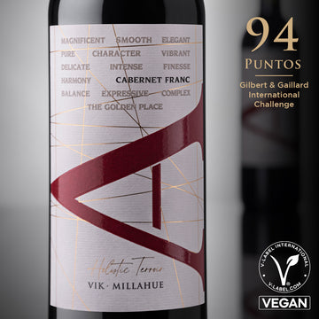 VIK "A" Cabernet Franc 2023 - 750 ml