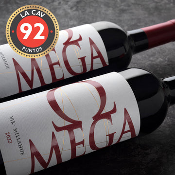 Vino Omega 2022 - Cabernet Sauvignon  750 ml