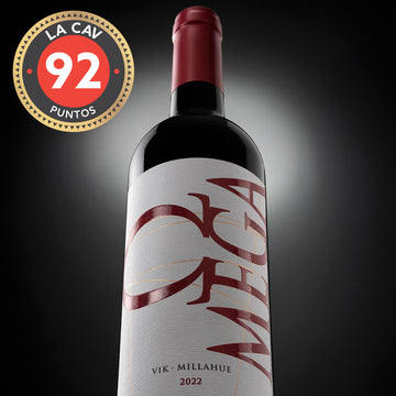 Omega 2022 - Cabernet Sauvignon  750 ml