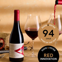 VIK "A" Cabernet Nouveau 2024 - 750 ML