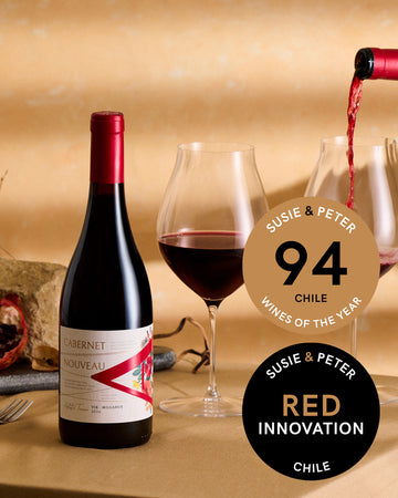 VIK "A" Cabernet Nouveau 2024 - 750 ML