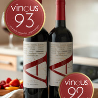 VIK "A" Cabernet Franc 2023 - 750 ml