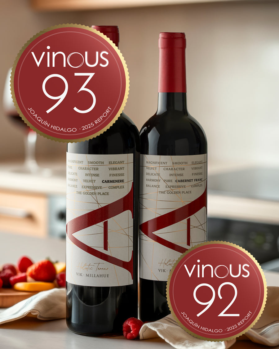 VIK "A" Cabernet Franc 2023 - 750 ml