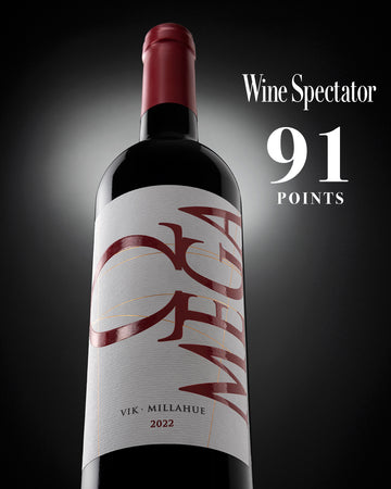 Vino Omega 2022 - Carmenere 750 ml