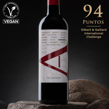 VIK "A" Carmenere 2023 - 750 ml