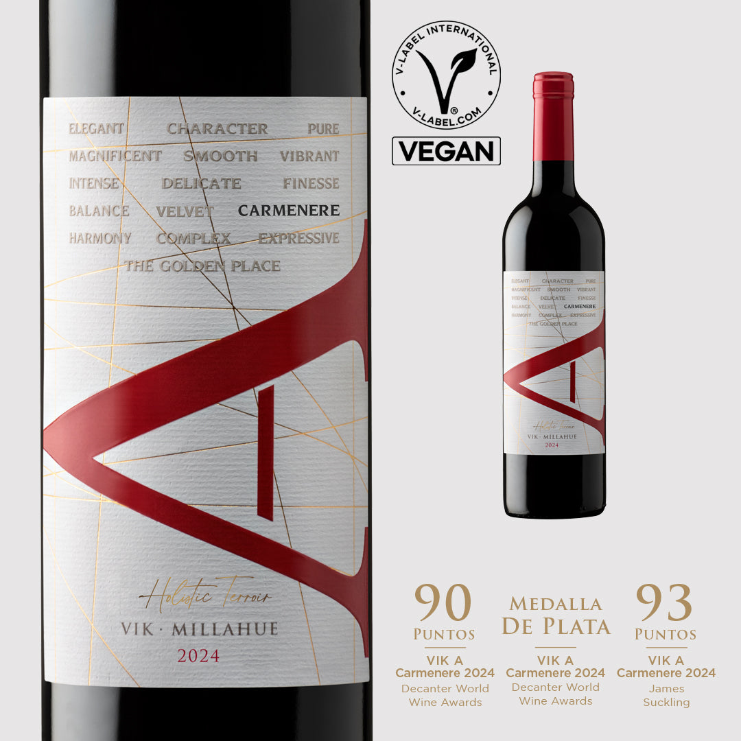 VIK "A" Carmenere 2024 - 750 ml