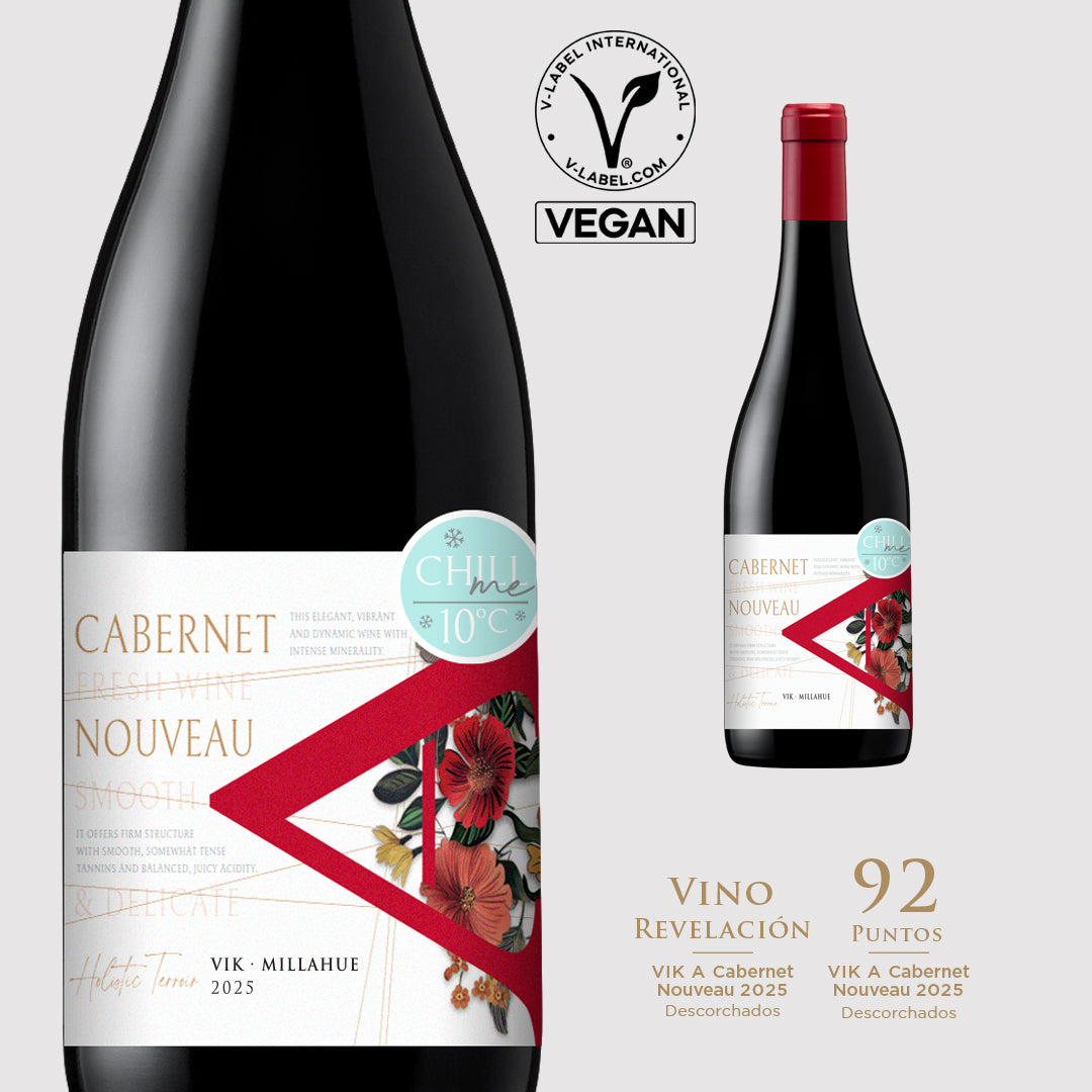 VIK "A" Cabernet Nouveau 2025 - 750 ml