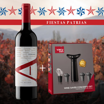 Pack Fiestas Patrias: VIK A Carmenere 2022 + Set Wine Saver Vacuvin