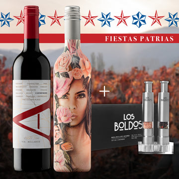 Pack Fiestas Patrias: VIK A Carmenere 2022 + La Piu Belle Rosé 2024 + Set 2 Molinillos Los Boldos