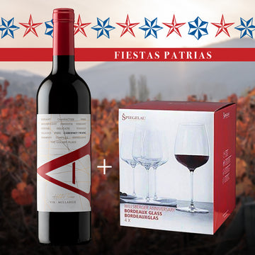 Pack Fiestas Patrias: VIK A Carmenere 2022 + Set 4 Copas Spiegelau