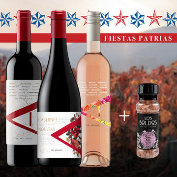 Pack Fiestas Patrias: VIK A Carmenere 2022 + VIK A Cabernet Nouveau 2024 + VIK A Rosé 2023 + Sal del Himalaya Los Boldos