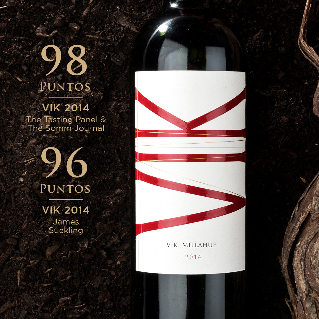 Pack: 6 Vinos VIK Vertical (Año 2014 + 2015 + 2017 + 2018 + 2019 + 2022) - 750 ml + Aireador y Decantador + 2 Wood Box de REGALO