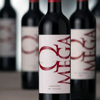 Vino Omega 2023 - Carmenere 750 ml