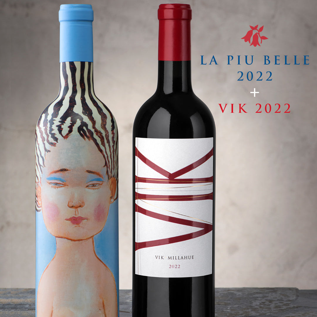 Pack: Vino VIK 2022 + Vino La Piu Belle 2022 - 750 ml
