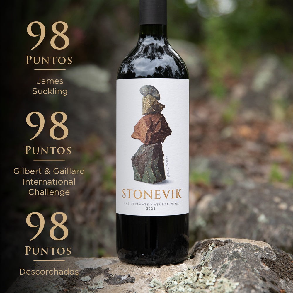 STONEVIK 2024 + GIFT BOX de Regalo