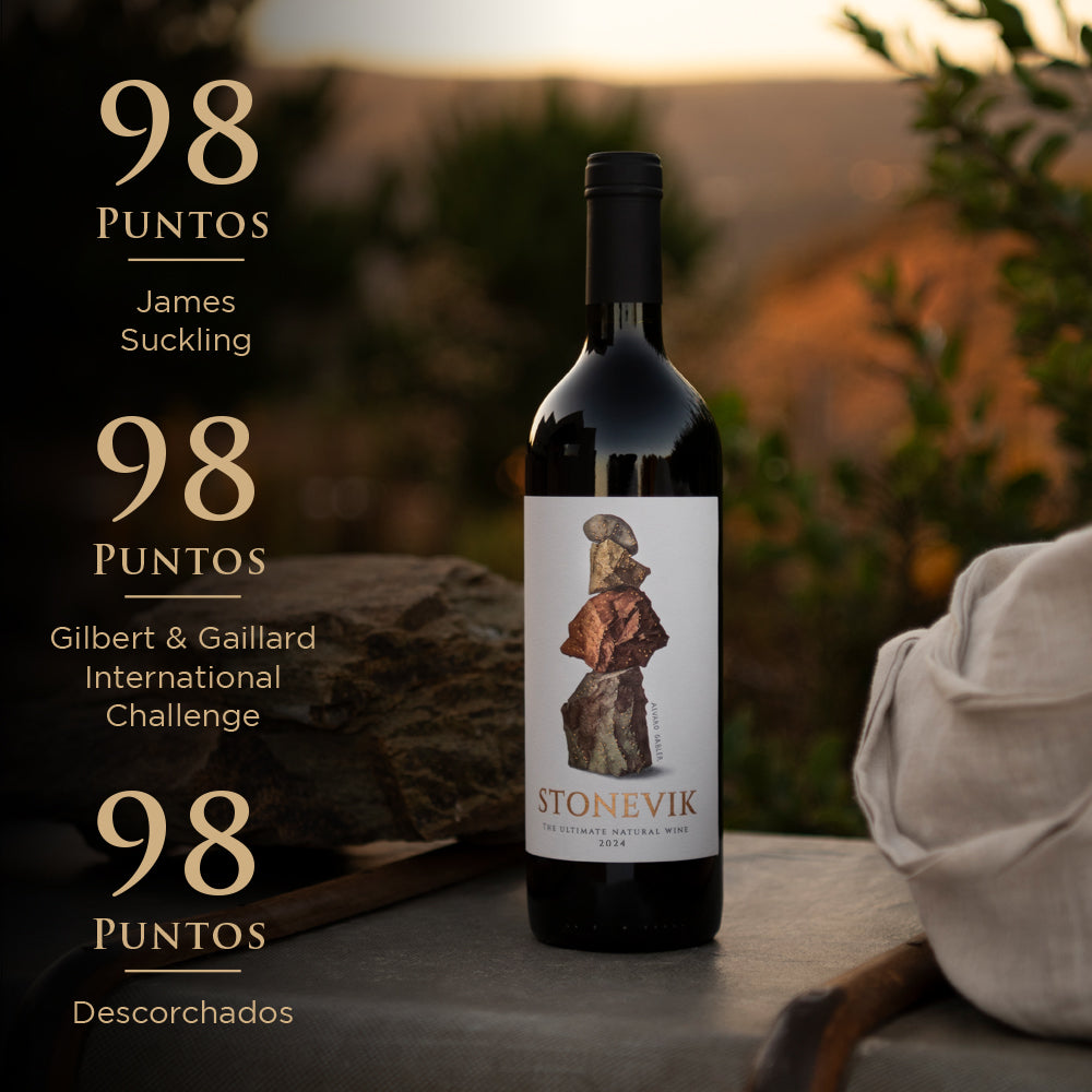 STONEVIK 2024 + GIFT BOX de Regalo