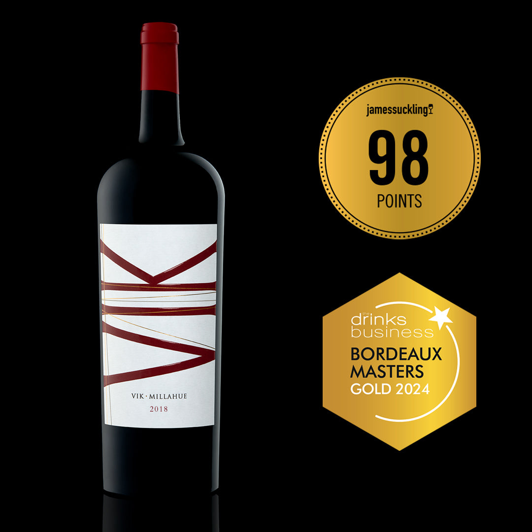 Vino VIK MAGNUM 2018 - 1500 ml: Cosecha Inédita + Caja Madera REGALO