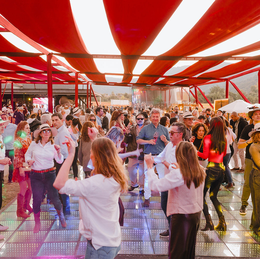 Pre Venta Fiesta de la Vendimia VIK 2027