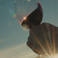 Fiesta de la Vendimia VIK 2026